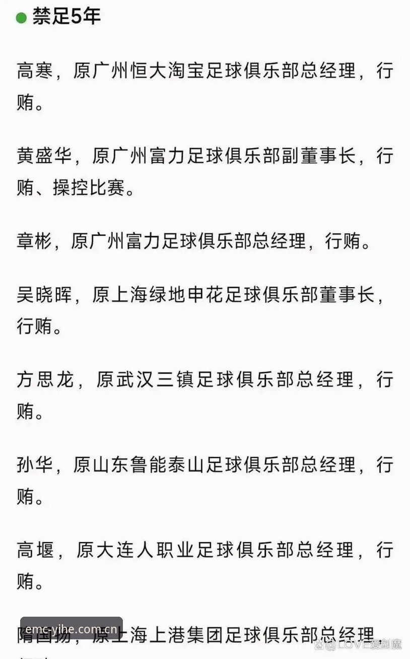 足协重拳整治足球乱象：3类违规行为、17人终身禁足与48人受罚的深度解读